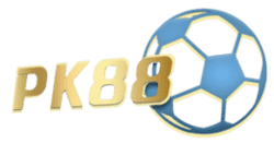 explain x wing in sudoku
